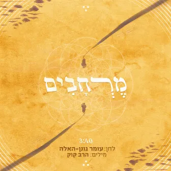 מרחבים by Omer Gonen-Haela