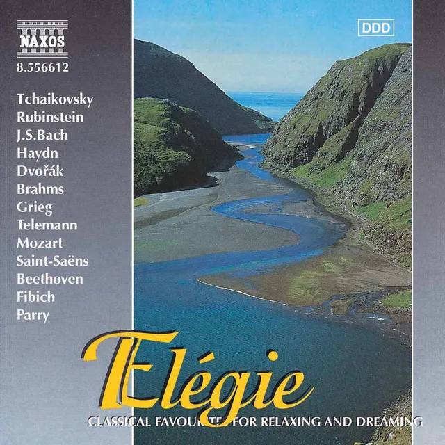 Serenade in C Major, Op. 48: Elegie