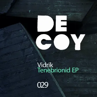 Tenebrionid EP by Vidrik