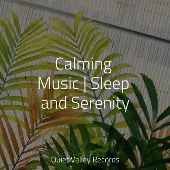 Calming Music | Sleep and Serenity by Exam Study Classical Music