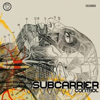 Control by Subcarrier