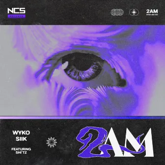 2AM by Wyko