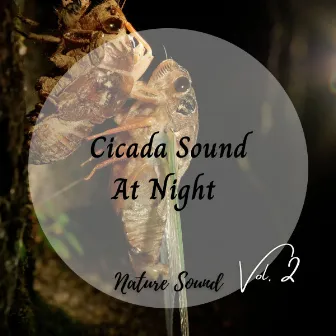 Nature Sound: Cicada Sound At Night Vol. 2 by Pet Music