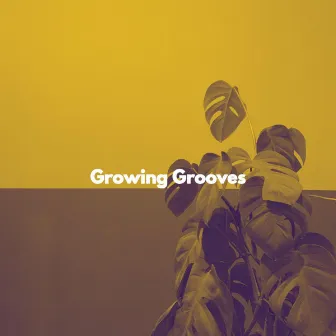 Growing Grooves by Musica para Leer Orquesta