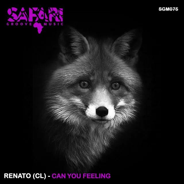 Can You Feeling - Original Mix