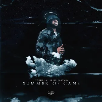 Summer of Cane by Young Ja