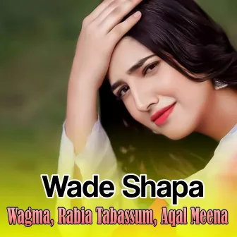 Wade Shapa by Aqal Meena