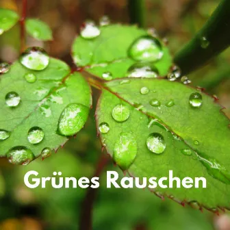 Grünes Rauschen by Rosa Rauschen Zum Einschlafen