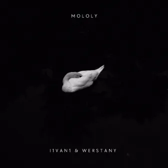 Mololy by WERSTANY