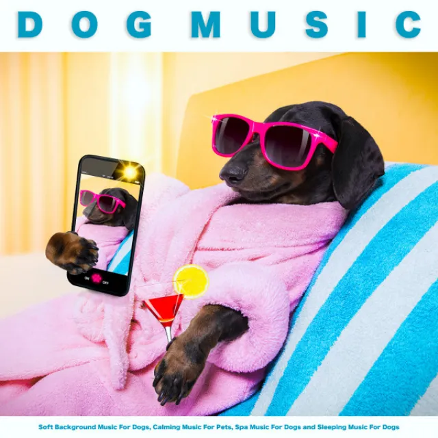 Spa Music For Dogs