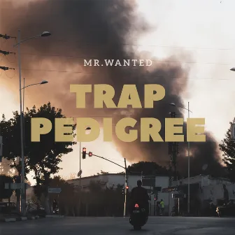 Trap Pidegree by Mr Wanted