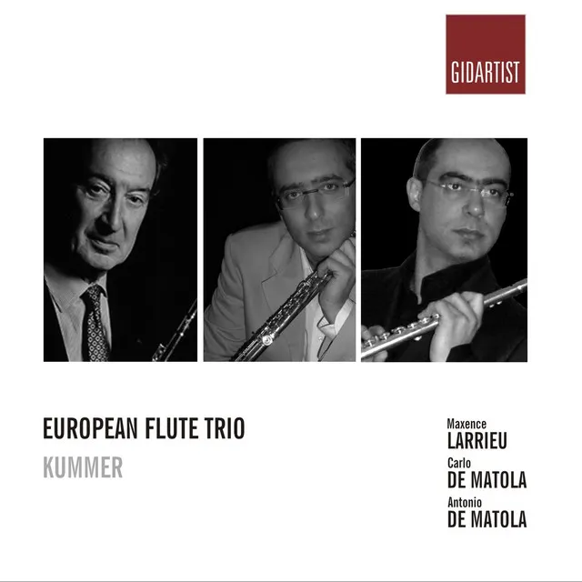 Flute Trio in G Major, Op. 24: I. Allegro moderato