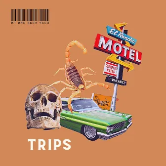 TRIPS by J.Medina