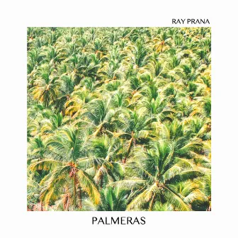 Palmeras by Ray Prana