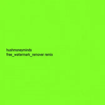 HUSHMONEYMINDS (Free_Watermark_Remover Remix) by TheAct