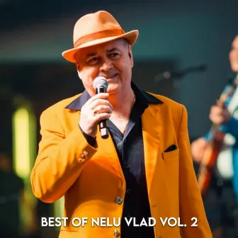 Best of Nelu Vlad Vol. 2 by Nelu Vlad