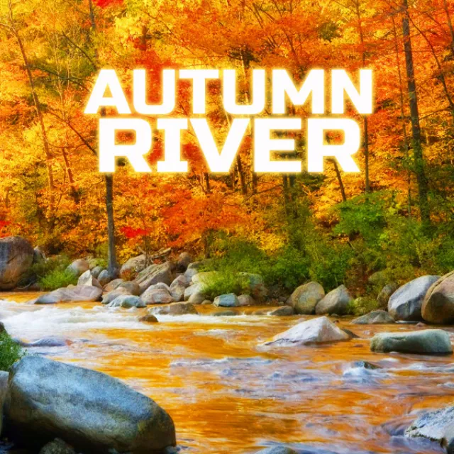 Autumn River