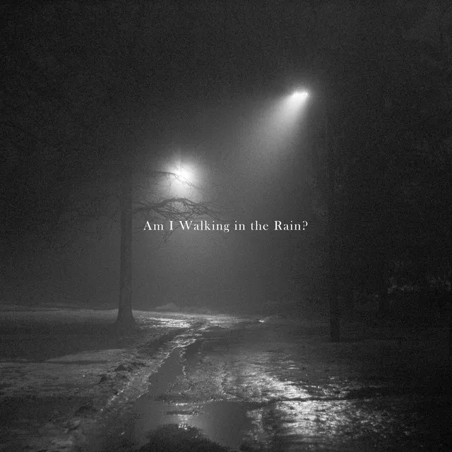 Am I Walking in the Rain?