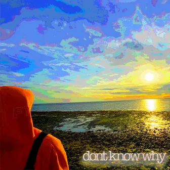 dont know why by Trey Steez