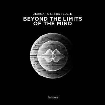 Beyond the Limits of the Mind by Andrean Sherrnx