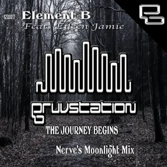 The Journey Begins (Nerve's Moonlight Mix) by Nerve