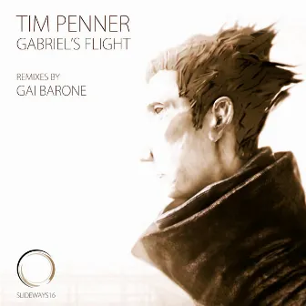 Gabriel's Flight by Tim Penner