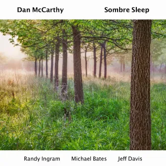 Sombre Sleep by Dan McCarthy