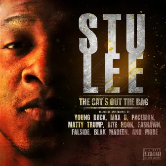 The Cat's Out the Bag by Stu Lee