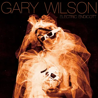 Electric Endicott by Gary Wilson