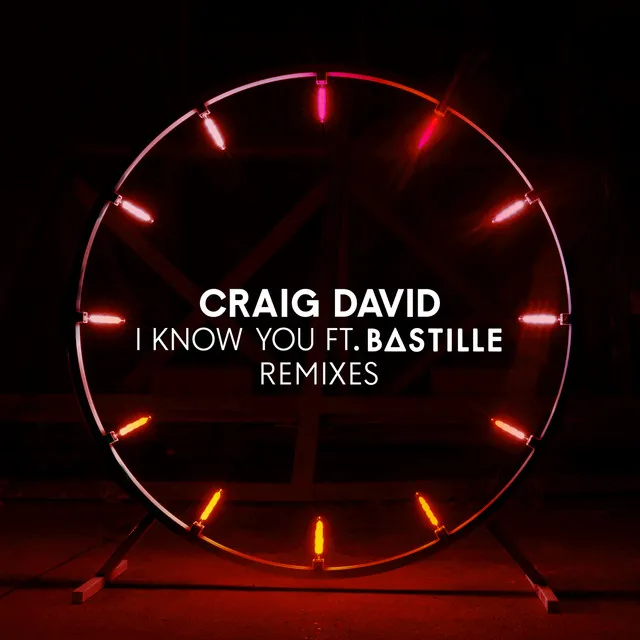 I Know You (feat. Bastille) - Canto Remix