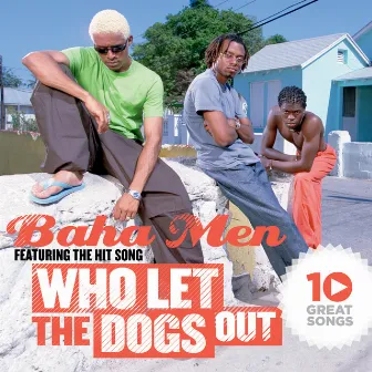 10 Great Songs by Baha Men