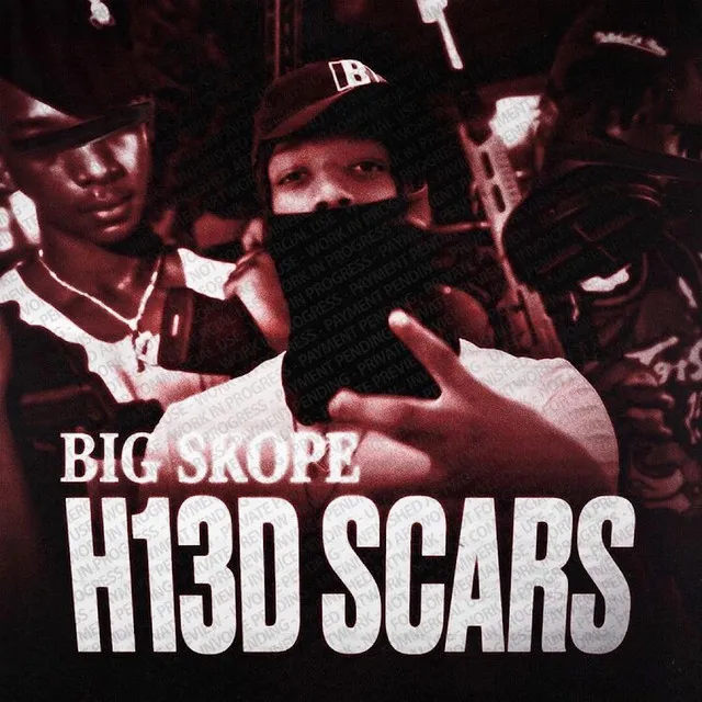 H13D Scars