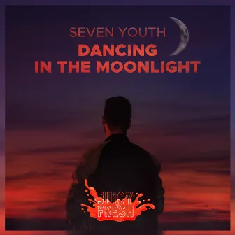 Dancing in the Moonlight by Seven Youth