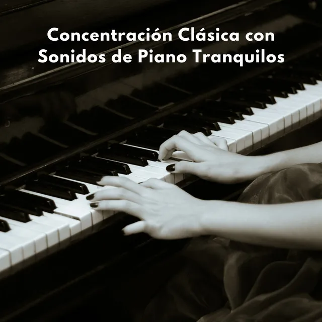 Concentración Clásica Con Sonidos De Piano Tranquilos