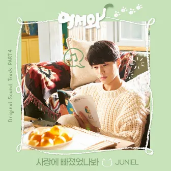 Meow the secret boy (Original Television Soundtrack) Pt. 4 by JUNIEL