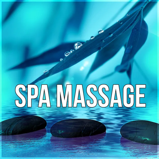 Spa Massage - Therapy Massage, Nature Sounds, Ocean Waves, Soothing Music, Senses, Serenity Music for Spa, Anti Stress Music