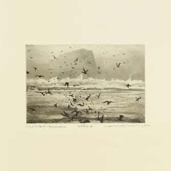 Murmuration by William Doyle