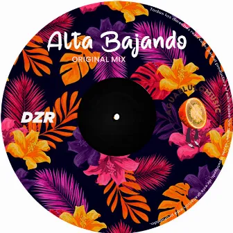 Alta Bajando by DZR