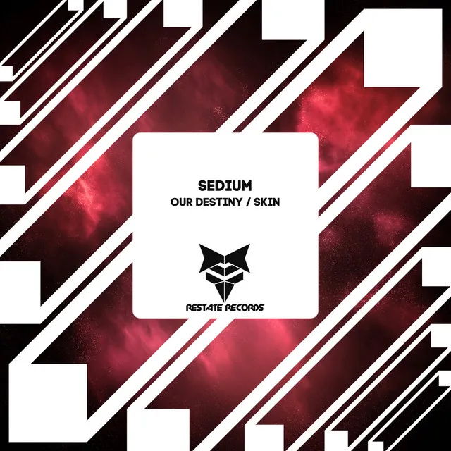 Our Destiny / Skin