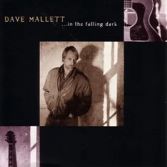 … In The Falling Dark by Dave Mallett