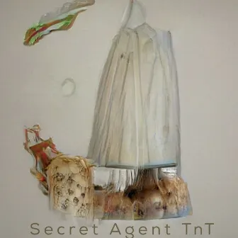 Secret Agent TnT by aka Bob Molly