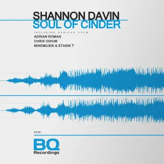 Soul of Cinder by Shannon Davin