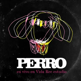 En Vivo en Vida Rec Estudio by Perro