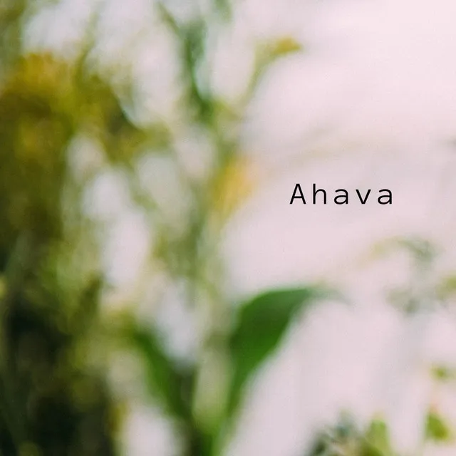 Ahava