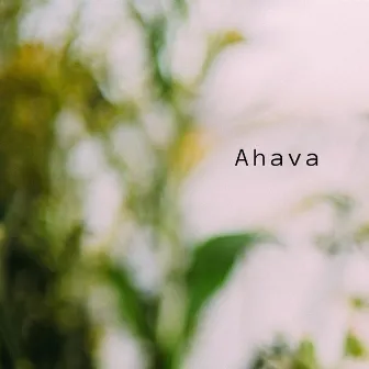 Ahava by Jessica Gallo