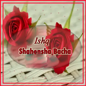 Ishq by Shahensha Bacha