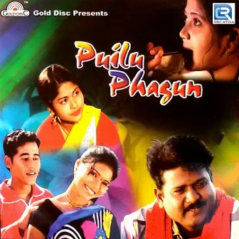 Puilu Phagun by Sawan