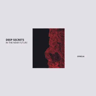 In The Near Future by Deep Secrets