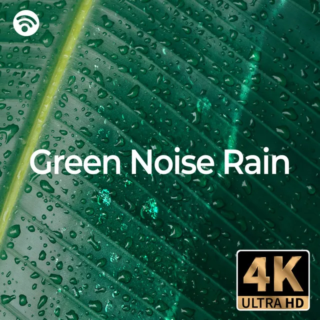 Green Noise Rain Pt.3 - 4K Ultra HD