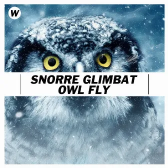 Owl Fly by Snorre Glimbat